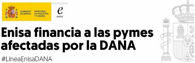 enisa dana, dana enisa, fepyme